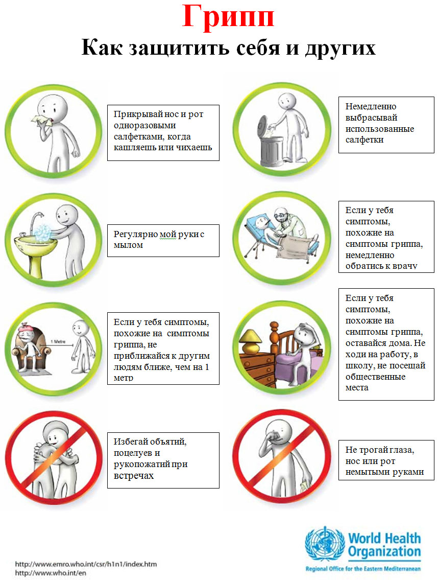 Внимание, ГРИПП! Информация для учеников и родителей - 28 Января 2016 -  Сайт школы №181